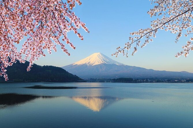 1 Day Private Mt Fuji Tour (Charter) - English Speaking Driver - Good To Know