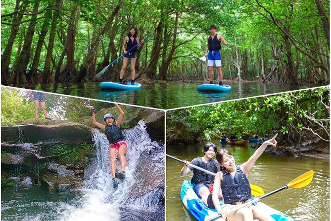 [Iriomote]SUP/Canoe Tour at Mangrove ForestSplash Canyoning!! - Equipment and Safety