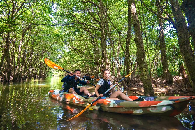 [Iriomote]Sup/Canoe Tour Sightseeing in Yubujima Island - What to Expect During the Tour