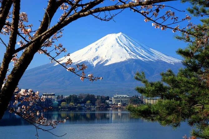 Mt Fuji and Hakone 1-Day Bus Tour Return by Bullet Train (Shinkansen) - Tour Details