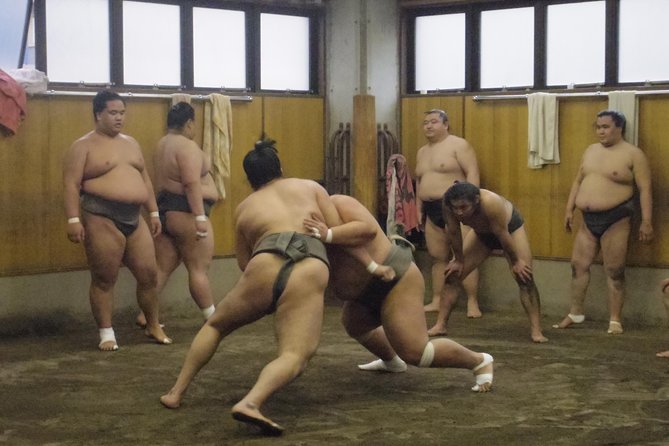 Sumo Morning Practice Tour at Stable in Tokyo - Insider Experience at Sumo Stable