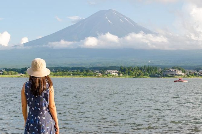1 Day Private Mt Fuji Tour (Charter) - English Speaking Driver - Positive Feedback on Drivers and Customer Service
