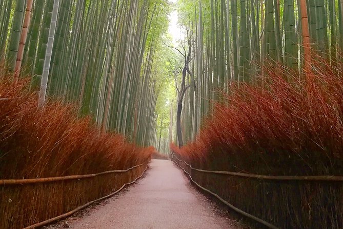 Afternoon Arashiyama Bamboo Forest & Monkey Park Bike Tour - Tour Details and Questions