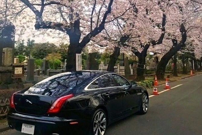 Tokyo Private Chauffeur Driving Sightseeing Tour - English Speaking Driver - Customer Feedback and Satisfaction