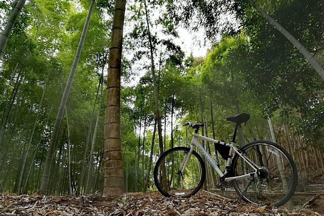 Arashiyama Bamboo Bike Tour (Early Bird) - Positive Reviews and Recommendations
