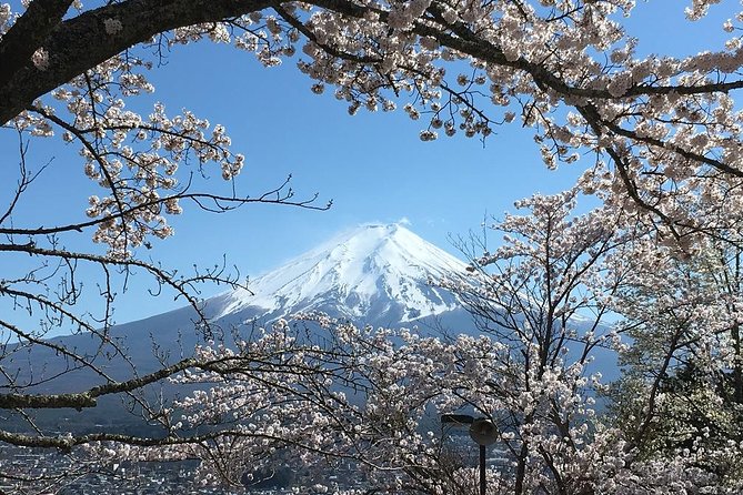 Private Tour: Chartered Car to Mt. Fuji Lake Kawaguchiko or Hakone and Lake Ashi - Recommendations and Memorable Experiences