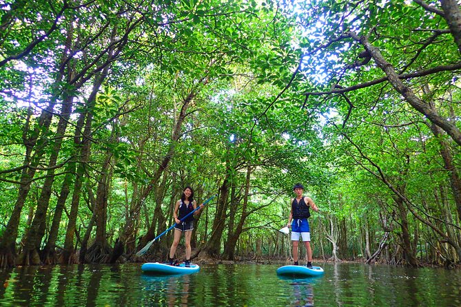 [Iriomote]Sup/Canoe Tour Sightseeing in Yubujima Island - Frequently Asked Questions
