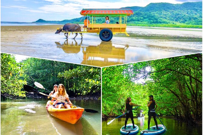 [Iriomote]Sup/Canoe Tour Sightseeing in Yubujima Island Good To Know